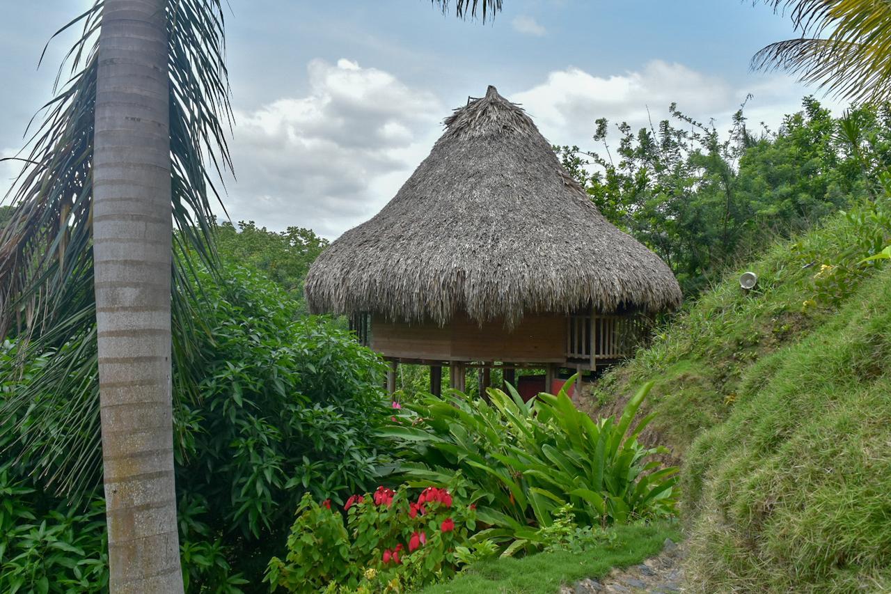 Ecohabs Bosques Del Tayrona Hotel Calabazo  Ngoại thất bức ảnh