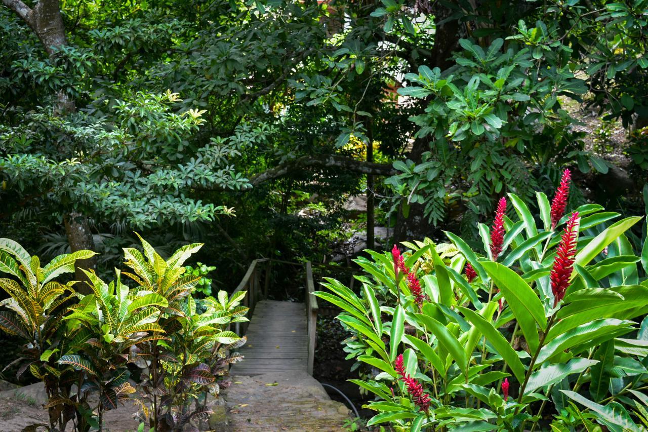 Ecohabs Bosques Del Tayrona Hotel Calabazo  Ngoại thất bức ảnh