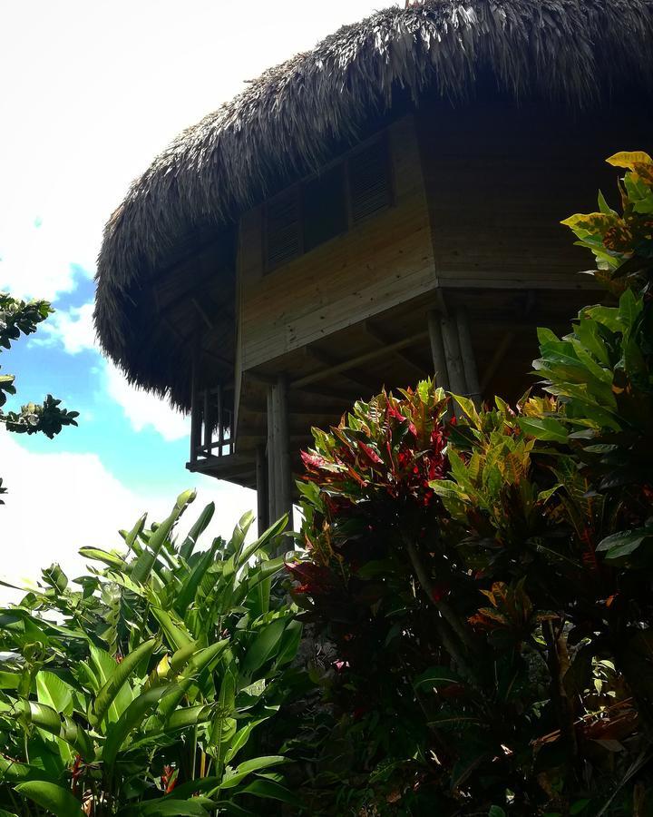 Ecohabs Bosques Del Tayrona Hotel Calabazo  Ngoại thất bức ảnh