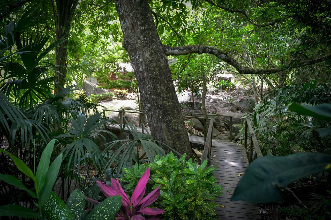 Ecohabs Bosques Del Tayrona Hotel Calabazo  Ngoại thất bức ảnh