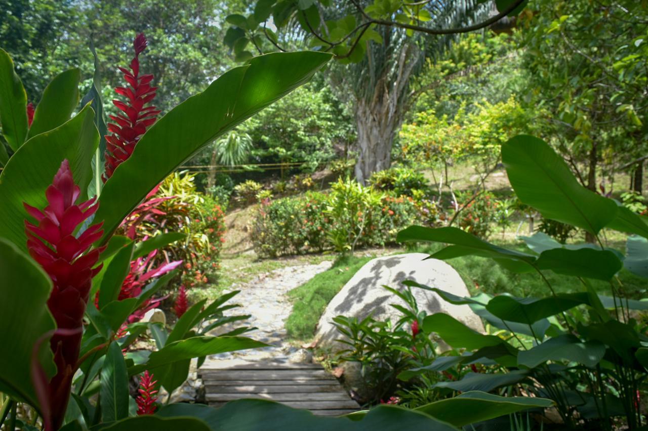 Ecohabs Bosques Del Tayrona Hotel Calabazo  Ngoại thất bức ảnh
