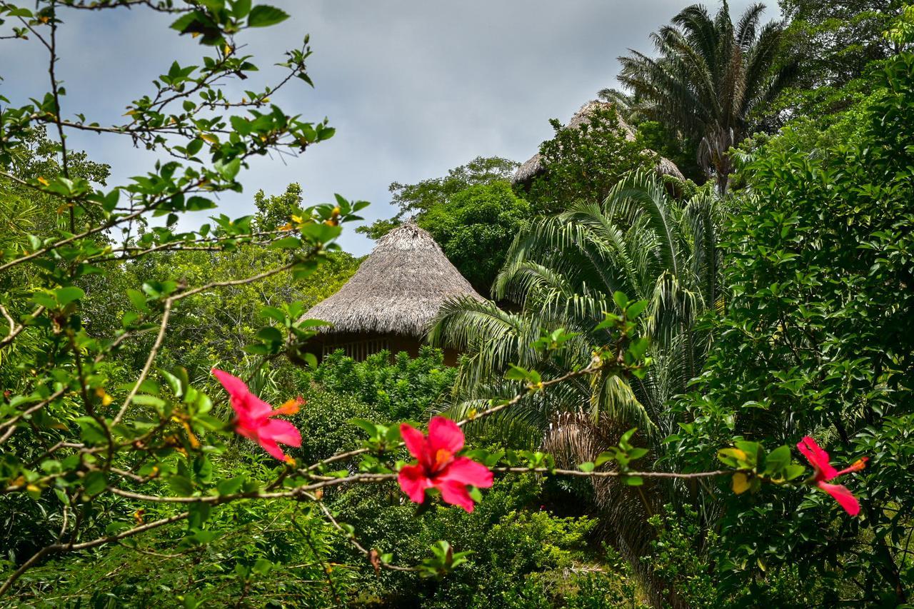 Ecohabs Bosques Del Tayrona Hotel Calabazo  Ngoại thất bức ảnh