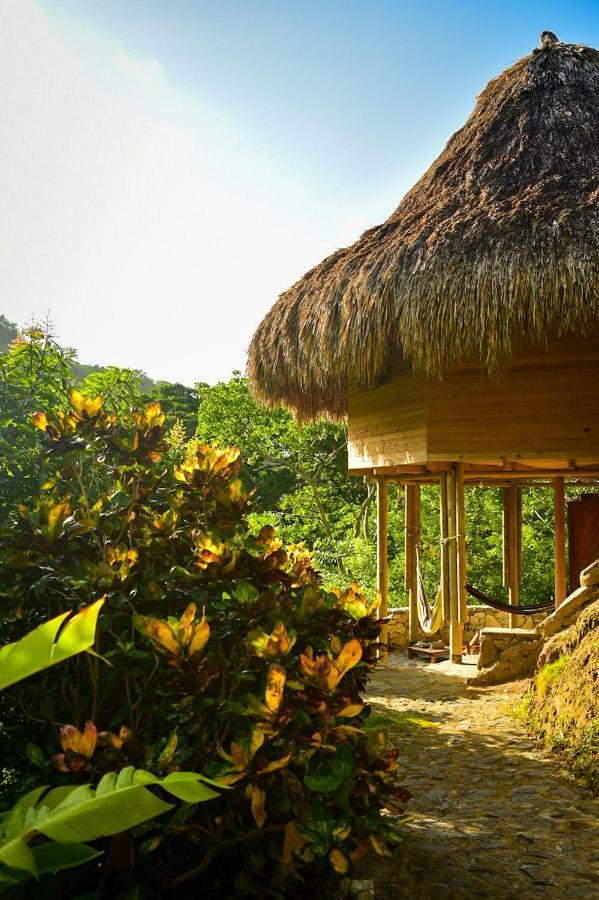 Ecohabs Bosques Del Tayrona Hotel Calabazo  Ngoại thất bức ảnh